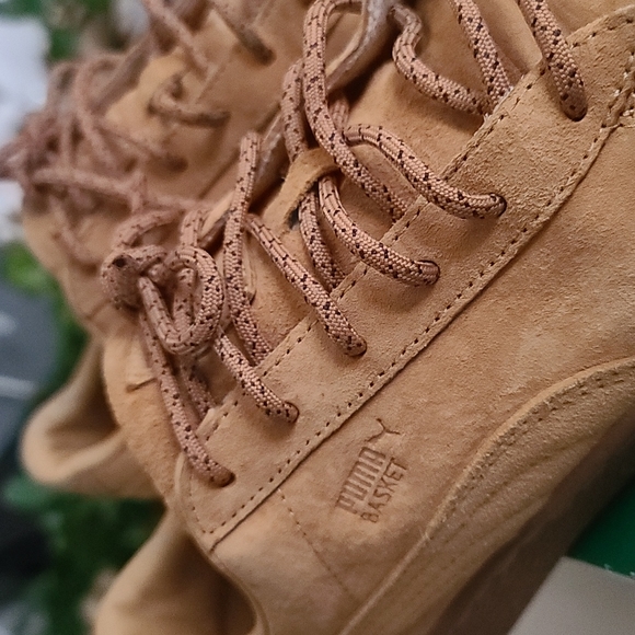 Pumas - Picture 2 of 4